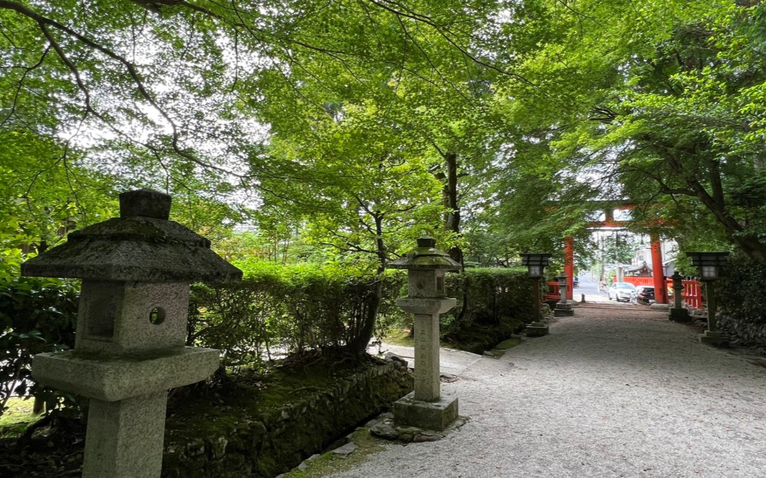上賀茂神社　新緑